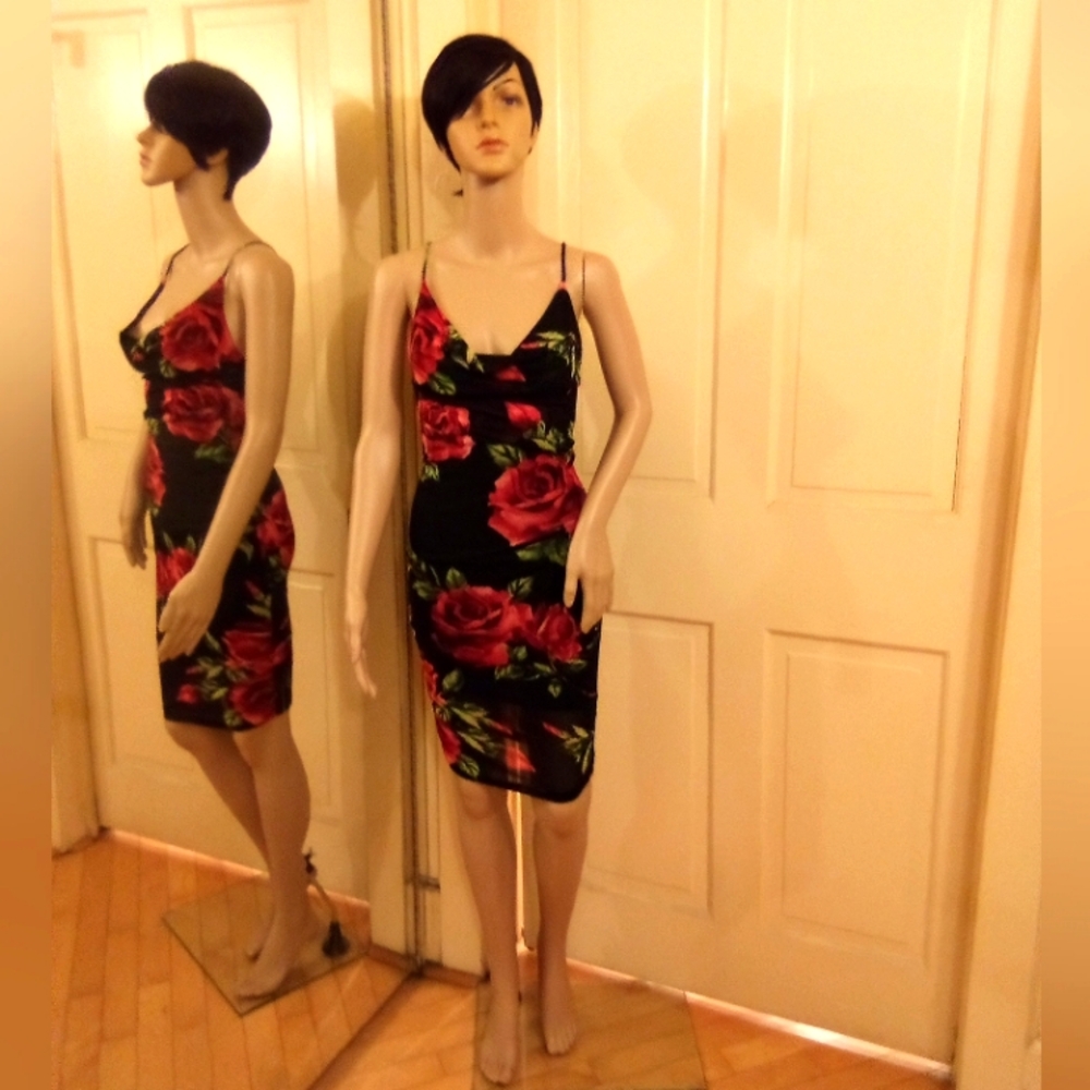 Sheer Red Rose crossback dress w/slip Size Sm